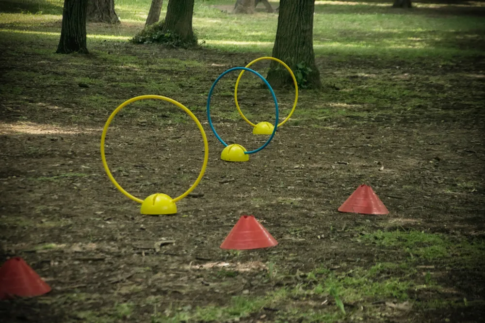 Age-appropriate ninja obstacle course for kids with two challenge levels
